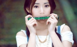 hoc ken harmonica
