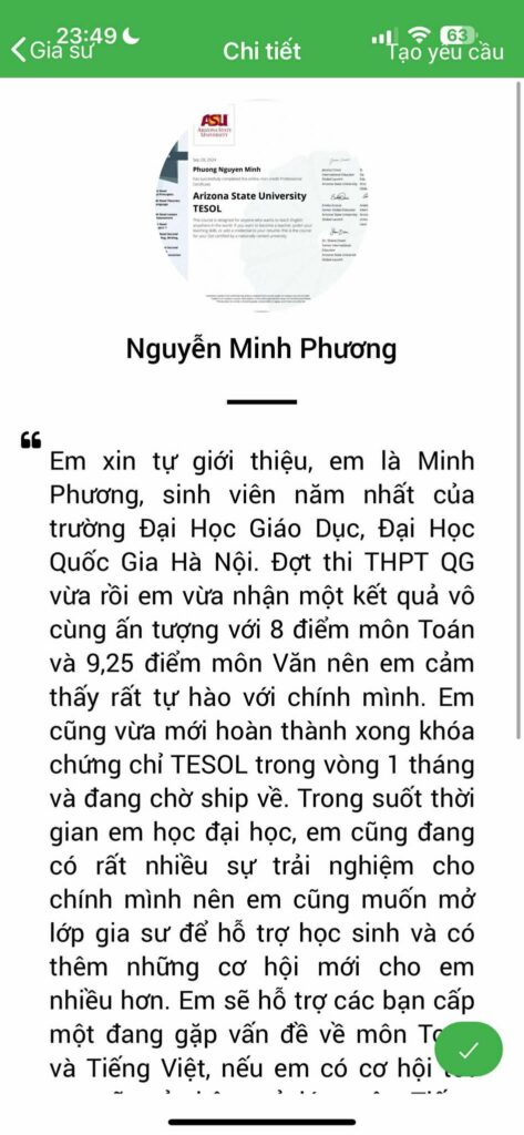 Gia sư tiếng Việt 27