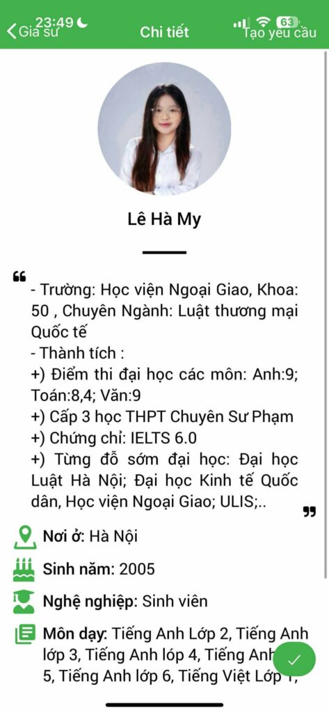 Gia sư tiếng Việt 28