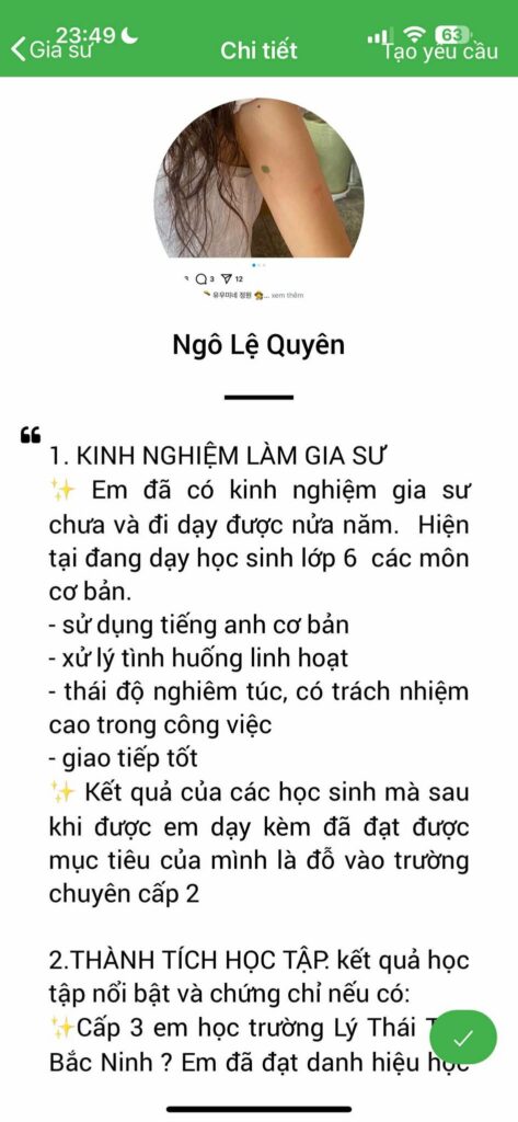 Gia sư tiếng Việt 29